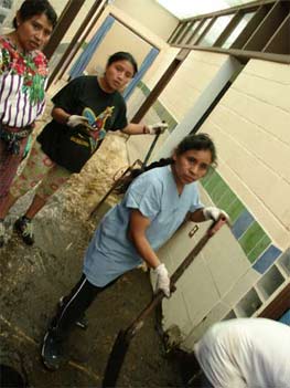 cleanup crew