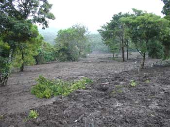 field of mud